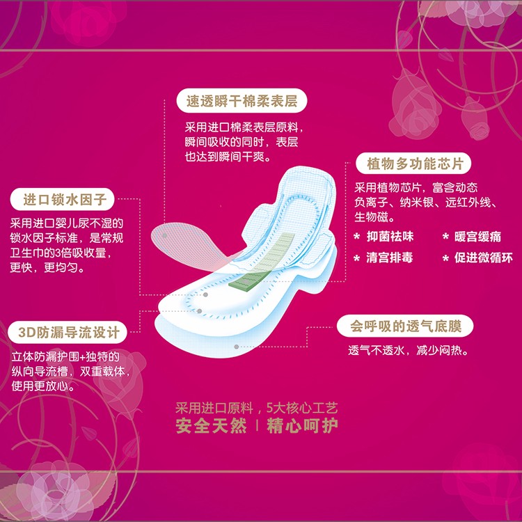 小月儿套盒