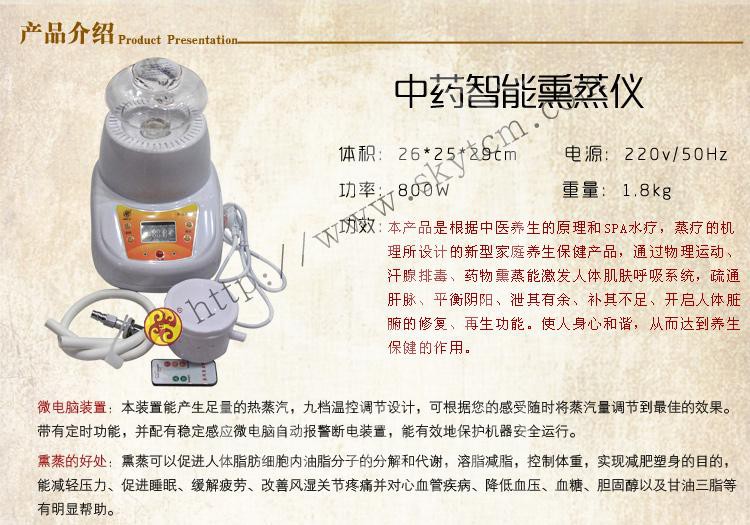 盛凯元中药智能熏蒸仪800w
