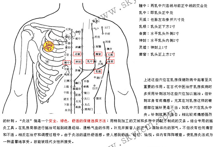 新乳灸仪